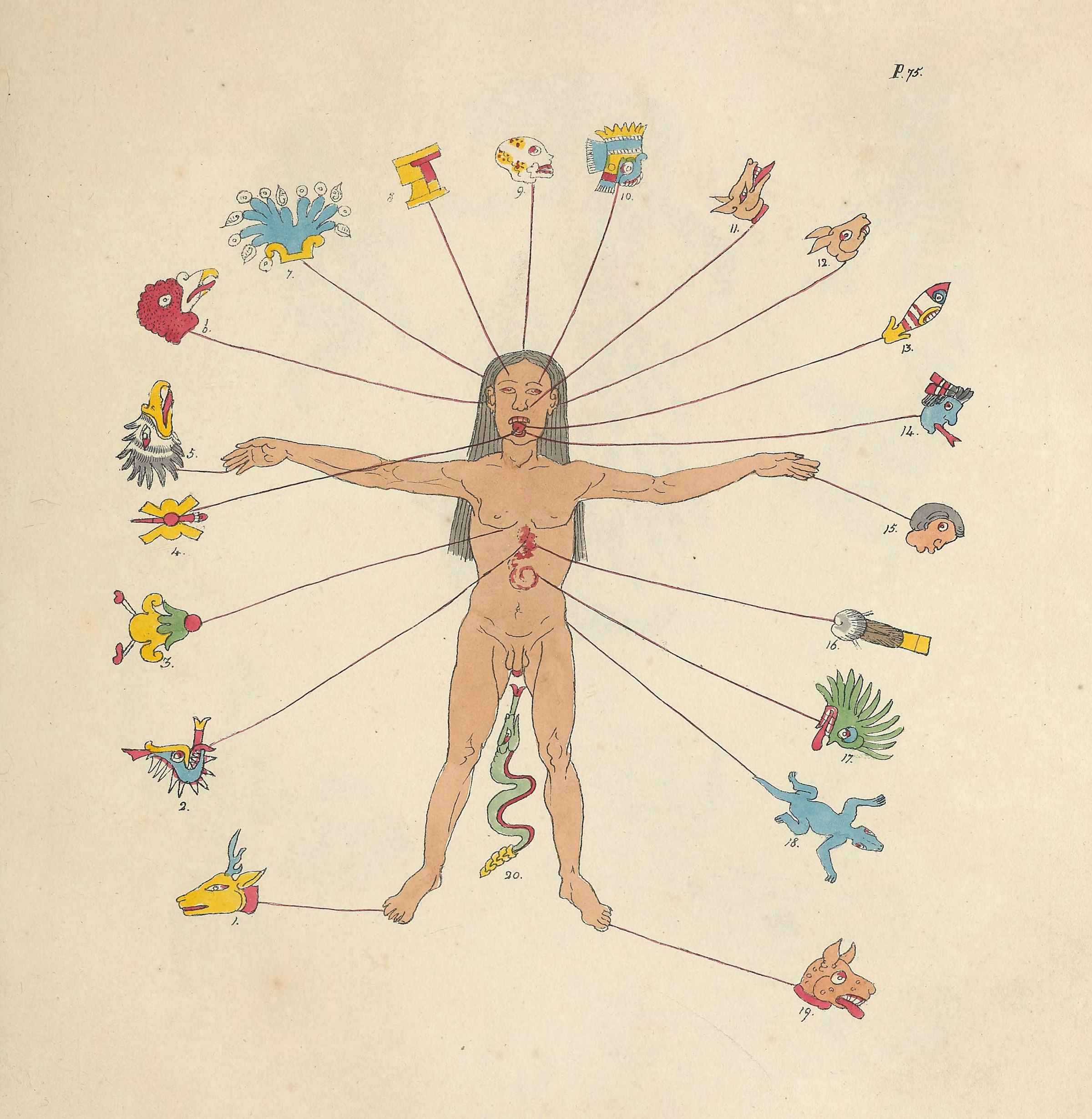 Nahua Depiction of The Body