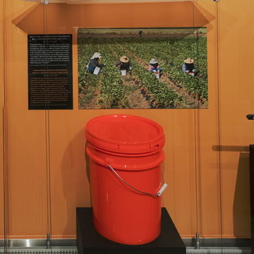 Picture of people working in fields and a orange bucket