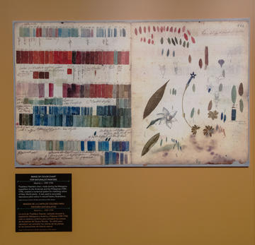 A chart comparing paint colors to the color of plants and leaves