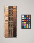 Skin Color Chart, c. early 20th century