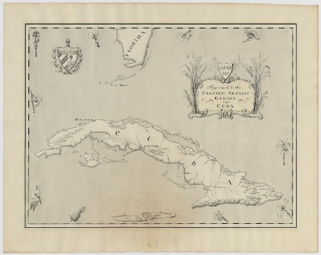 Approach to the Harvard Botanic Garden in Cuba, by Blanche Ames, 1903